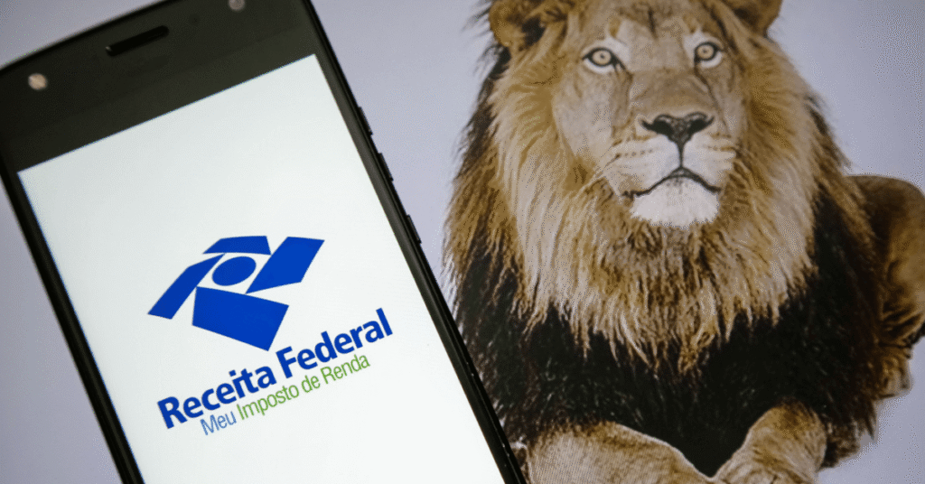 Por Que a Declaração de Renda é Tão Importante?